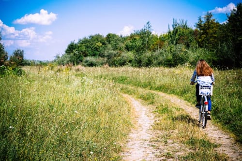 bike tourism -bike route- vaucluse -coeur de provence -éco tourisme -organisation -bike guide -bike rental 