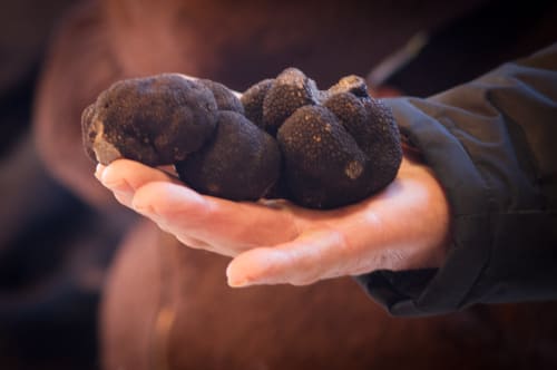 slow food stay - truffles - truffle stay - table d'hôtes - local and seasonal cuisine - locavore 