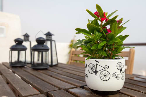 Cycle with us in the Andalusian countryside