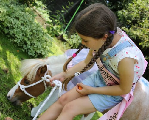 Children's horse parties