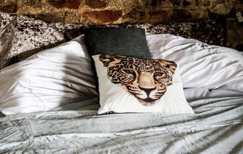 The Stable Annexe - Charming B&B in the countryside with horses, Doddyke, Lincoln