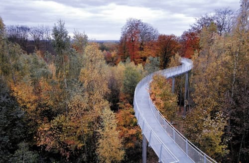 Aerial view of curved walkway through autumn forest canopy near Valenciennes, France