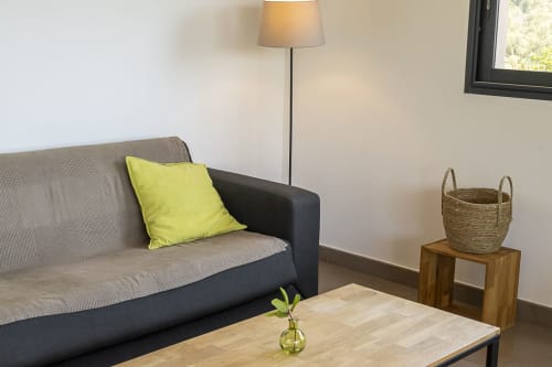 Couch living room