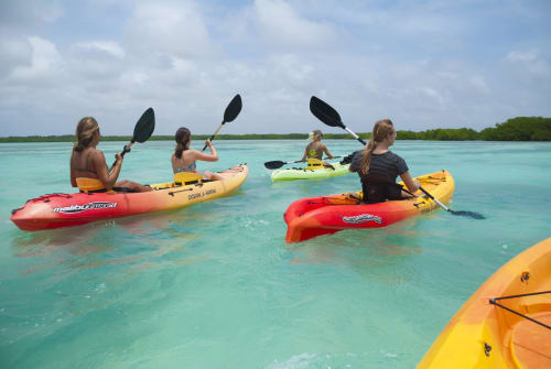 Aventure en kayak collectif dans les eaux turquoise des Trois-Ilets, Martinique avec kayaks colorés et décor de mangroves
