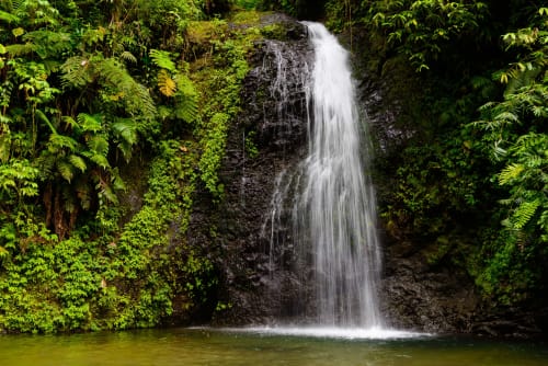 Cascade paisible se déversant dans un bassin émeraude entouré d'une luxuriante végétation tropicale à la Martinique