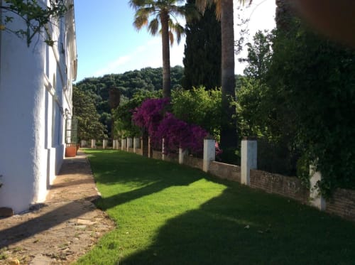 Finca La Favorita | Constantina, España - La Favorita Alojamientos, esconde un gran tesoro; unos recoletos jardines centenarios de vegetación mediterránea . Destaca sus viejos setos de boj de mas de 150 años , sus grandes palmeras, laureles y cinco esbeltos cipreses . El mayor de ellos alcanza los 28 m de altura .