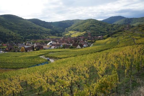 location gites alsace route des vins
