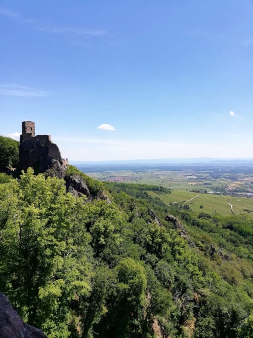 location vacances a ribeauvillé