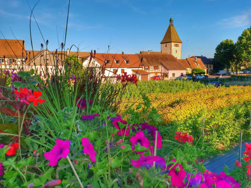 location de vacances haut rhin