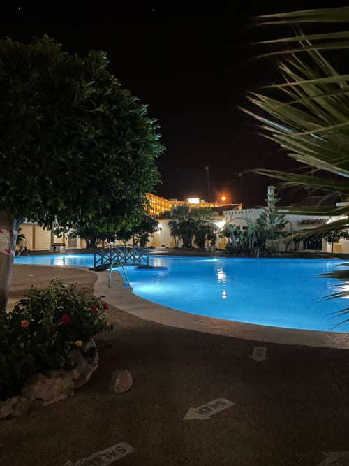 Piscina noche, puente, plantas