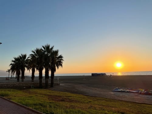 Amanecer, palmeras, playa, verano