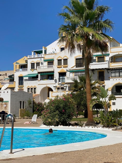 baño piscina, relajante, palmera, verano
