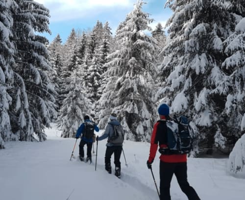 ski de fond