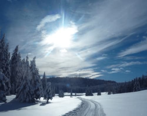 la montagne une bouffé d'oxygène