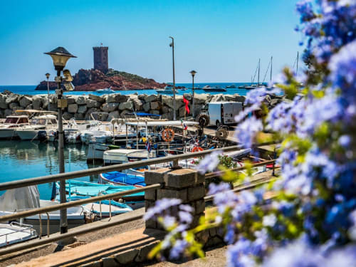ile d'or saint raphael dramont 