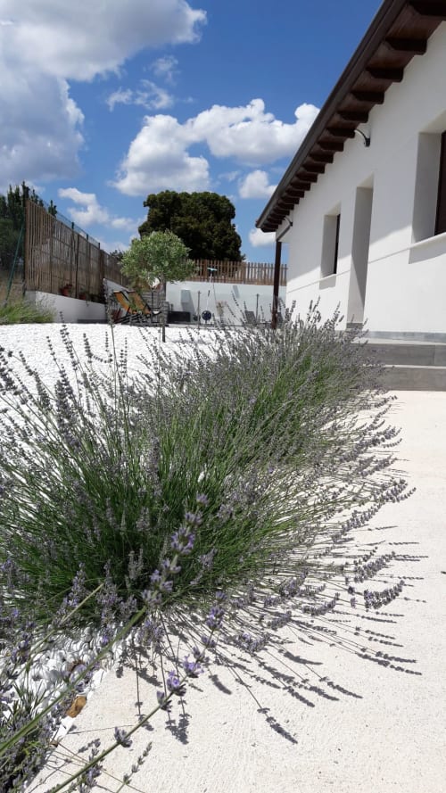 Cottage blanc avec jardin de lavande et piscine à la Casa Rural La Perla, Hiendelaencina, Espagne