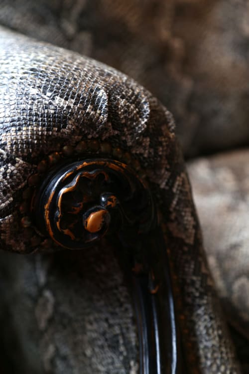 Gros plan sur l'œil d'un reptile aux marquages orange et noir distinctifs au Grand Duc, Valenciennes