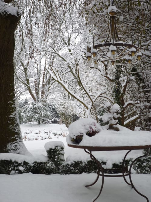 Jardin enneigé du gîte Le Grand Duc à Valenciennes avec bouleaux givrés et mangeoire pour oiseaux