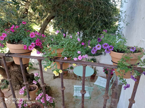 Finca La Favorita | Constantina, España - Es una estancia acogedora con entrada independiente. En la planta baja encontramos un pequeño salón abierto dotado de cocina vitrocerámica frigorífico y fregadero, así como un sofá. En la planta superior el dormitorio con un original baño en suite y una terraza. Esta suite dispone además de un pequeño jardín de uso privado con mobiliario completo .