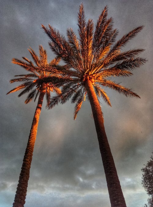 Les millors postes de sol de tot Es Pla de Mallorca