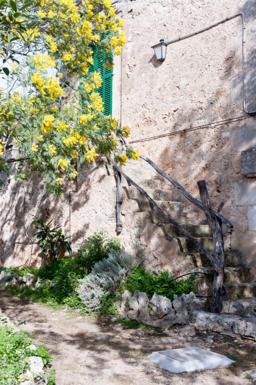 Sa Casa Rotja | Sineu, España -Este apartamento se caracteriza por tener un bonito porche. En la terraza hay mobiliario para su relax y para que disfrute del entorno que le rodea. El apartamento tiene cocina/sala de estar con todo lo necesario para cocinar y comer. En la sala de estar hay un sofá cama por si hay huéspedes extra. En la habitación hay una cama de matrimonio y cuenta con un baño completo. Este apartamento no tiene ningún escalón y es de fa´cil acceso.