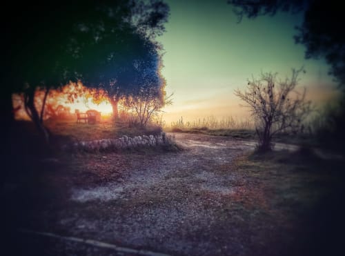Els dies de boira també són benvinguts. Paratges de misteri i encant.