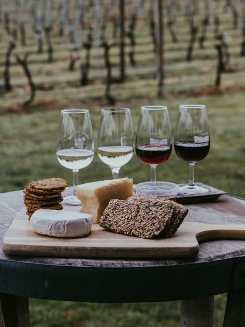 primé et meilleur chambre d'hôtes
dégustation de vins