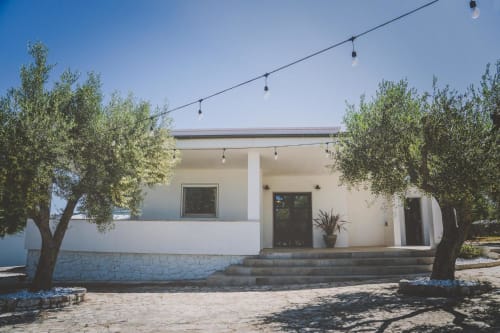 Casa Ziazì, romantica abitazione in pietra bianca con ulivi a Monopoli, Puglia, circondata da luci decorative e lussureggiante verde