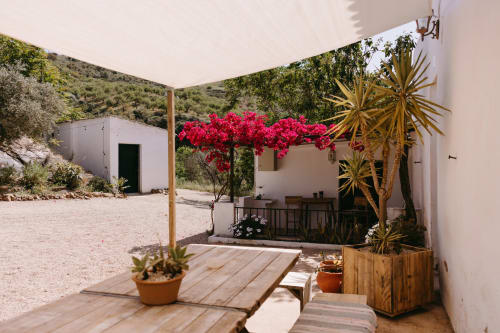 Mesa de madera, flores
