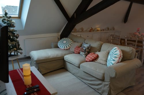 Séjour confortable, avec un canapé de détente et mini bar pendant votre séjour à la Ferme les Iris
