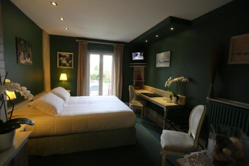 Hostellerie du Cheval Noir - chambre confort de 21 m² avec terrasse , vue ville, Moret sur Loing, France