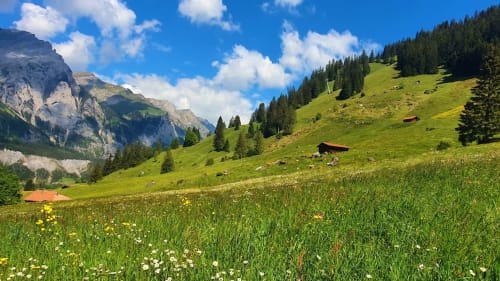 Suisse et Allemagne à 40mn de l'appartement de vacances Ferme les Iris