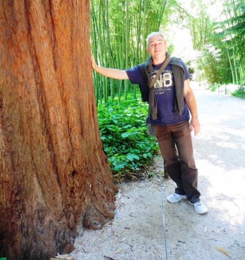 Bamboo grove of Anduze tree bed and breakfast hotel le Portel des Arnaud gard week end  