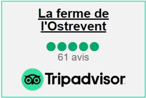 La ferme de l'Ostrevent BnB 5-star Tripadvisor rating, Estrées France