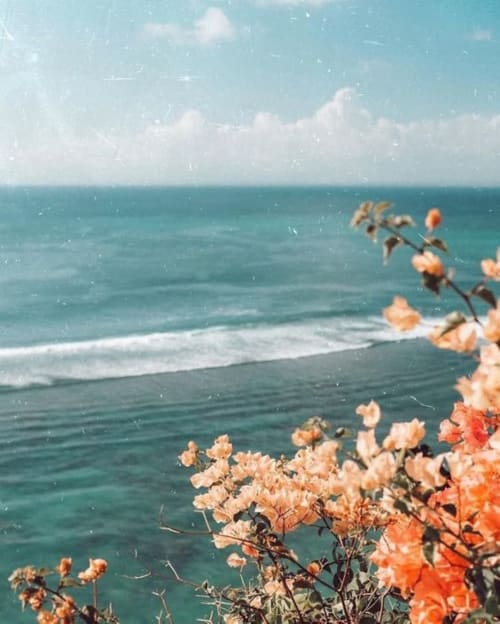 Birds of Paradise | Boutique surf lodge surf hotel Portugal Algarve luxury, Aljezur, at the south west coast of Portugal, fully renovated, natural surroundings, 4 to 7-day stays, delicious and healthy breakfast, surf lessons