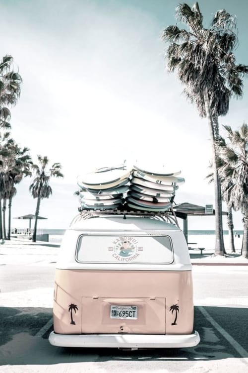 Birds of Paradise | Boutique surf lodge surf hotel Portugal Algarve luxury, Aljezur, at the south west coast of Portugal, fully renovated, natural surroundings, 4 to 7-day stays, delicious and healthy breakfast, surf lessons