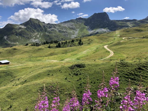 paysage nature la plagne