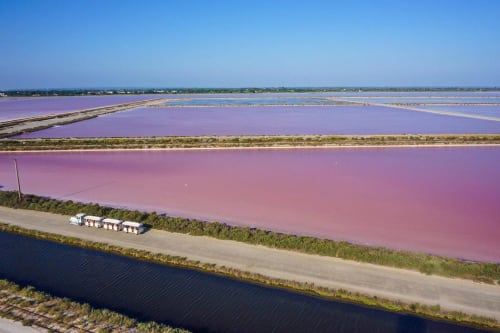 aigues mortes marées salant