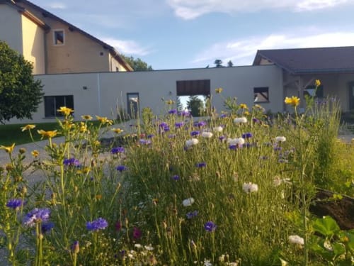 fleurs du jardin