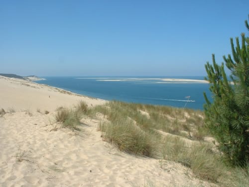 Dunes de sable avec oyats dominant les eaux turquoise à Côte et Dune, Biscarrosse Plage