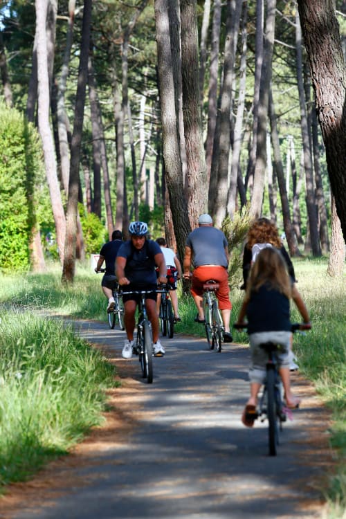 Cyclistes circulant sur un sentier forestier ombragé près de Côte et Dune, Biscarrosse Plage
