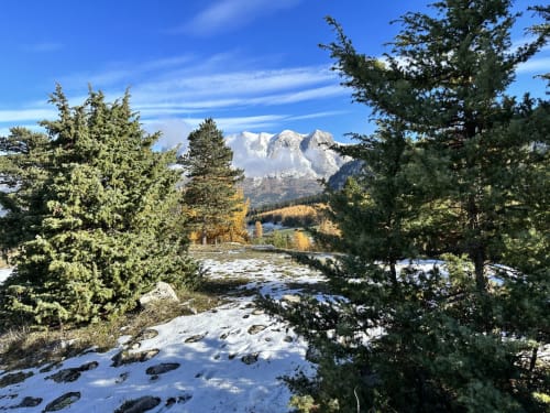 location la Joue du loup, Oreeduloup, montagne, ski, chalet Japp'loup 10/12 personnes, chalet Grand Loup 14/16 personnes, hameau des cimes, eden des cimes, studio ptilou B36, melezes des chaumates