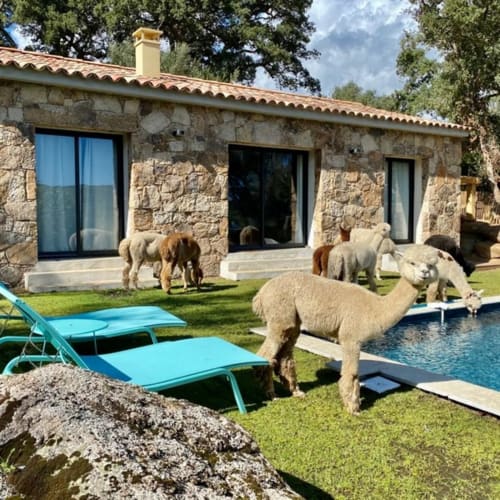 Les Bergeries De Figari Sélectionnez votre chambre