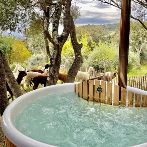 Les Bergeries De Figari Sélectionnez votre chambre