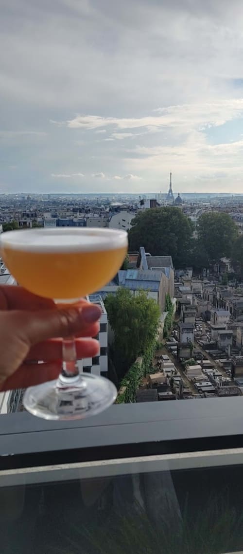 Terrass Hotel roof top Montmartre Boutik Boheme