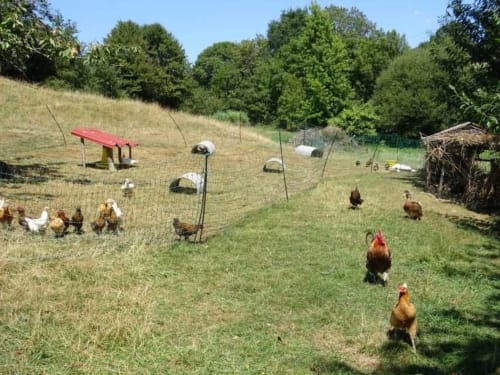 camping à la ferme  Glamping Terre et Eau Vendée 