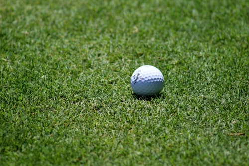 pelota de golf