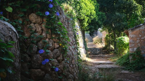 rutas de senderismo en mallorca