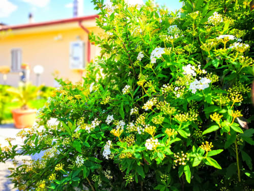 B&B con giardino attrezzato