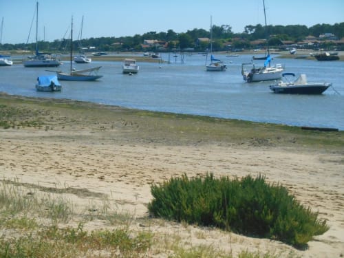 Voiliers ancrés dans les eaux calmes de la plage de Biscarrosse, avec son rivage de sable et sa végétation côtière